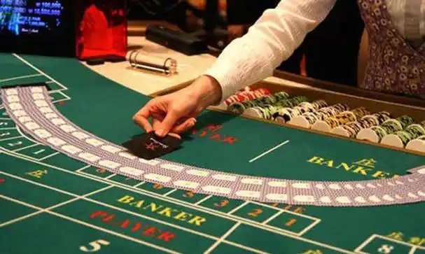Step-by-step guide to placing a bet on 99 ph platform